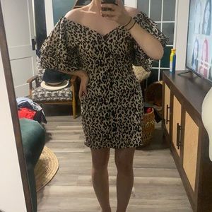 Leopard print button up mini dress
